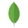 MongoDB